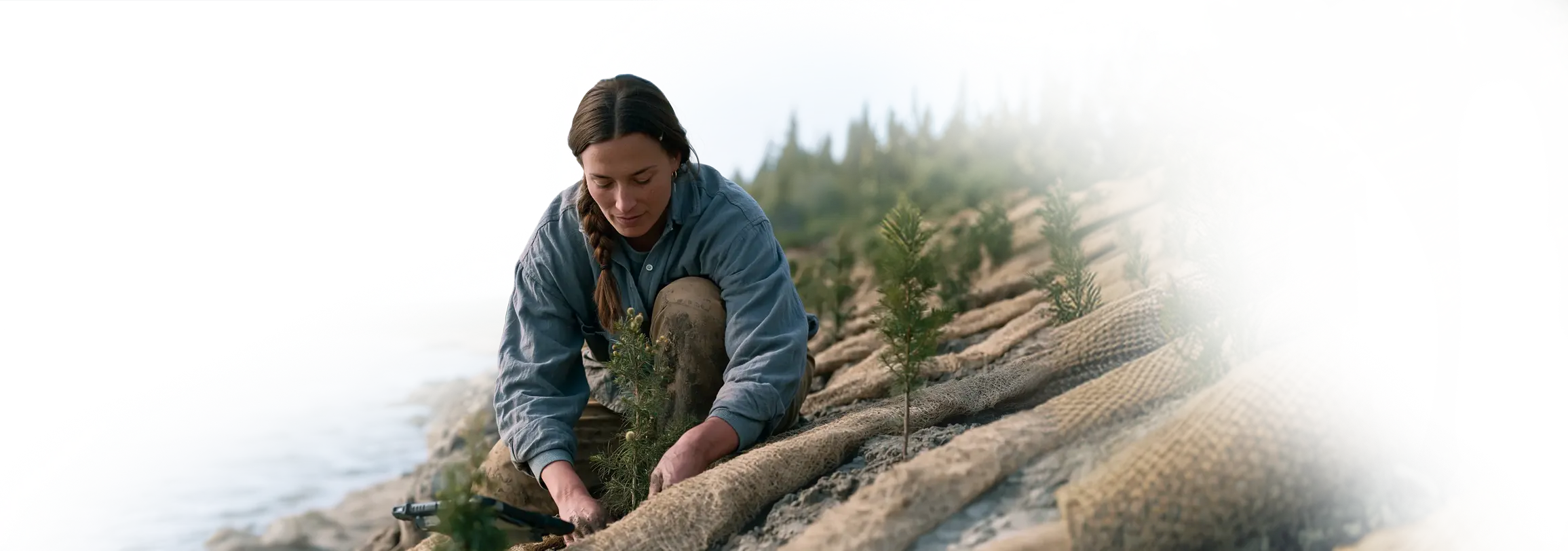 Woman planting tree seedlings along a riverbank.
